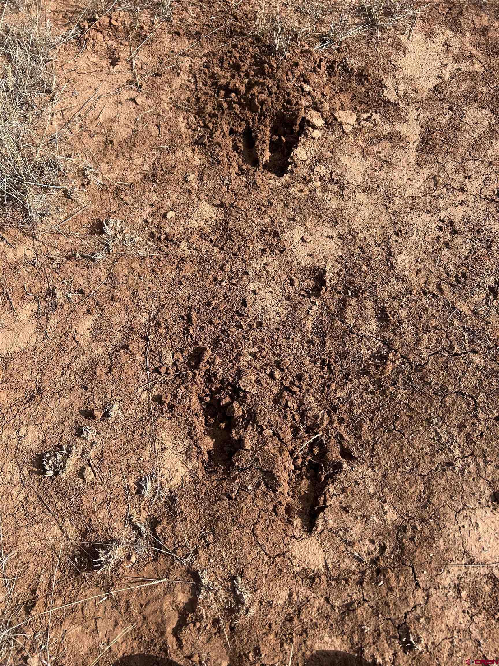 6462 Rd L Dove Creek, CO 81324 - Photo 14 of 28