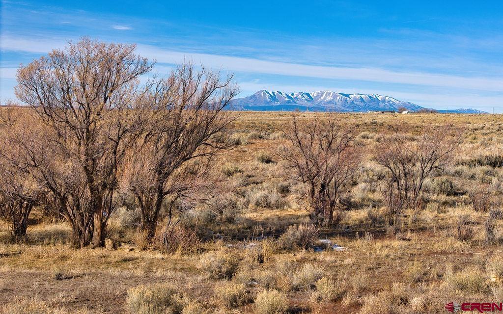 6462 Rd L Dove Creek, CO 81324 - Photo 26 of 28 a view of a dry yard with trees