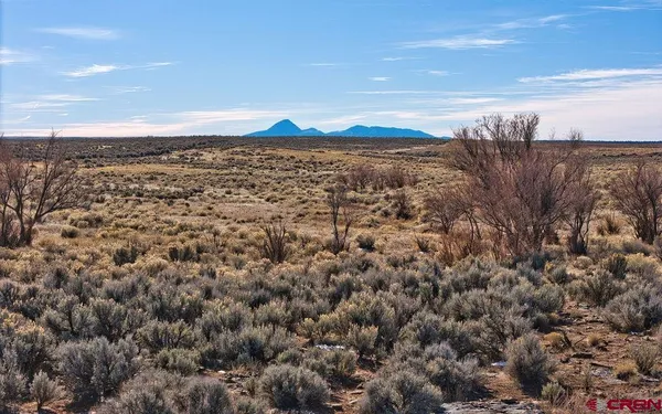$450,000 | 6462 Rd L, Dove Creek, CO 81324