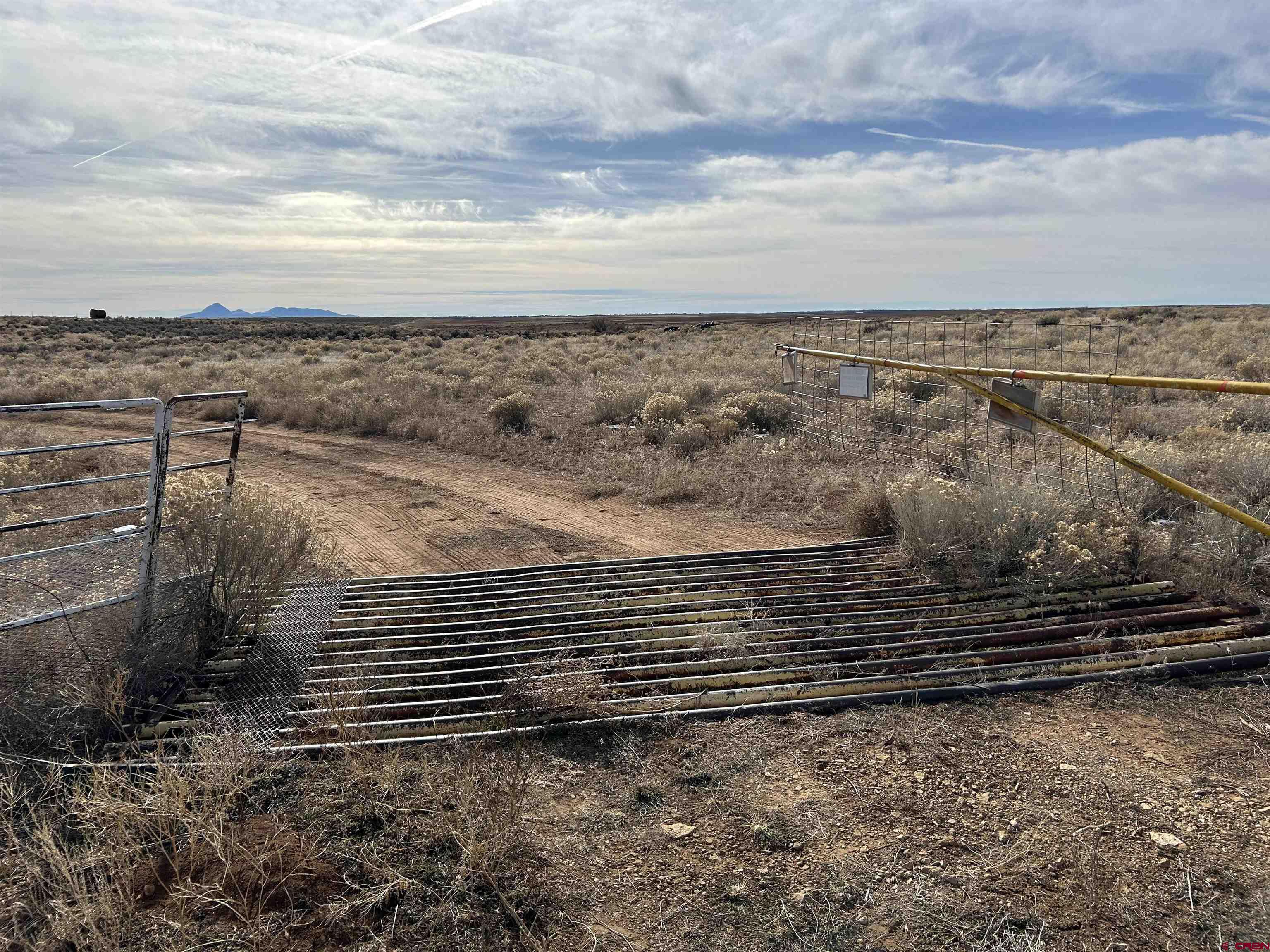 6462 Rd L Dove Creek, CO 81324 - Photo 6 of 28 a view of a yard with wooden floor and fence