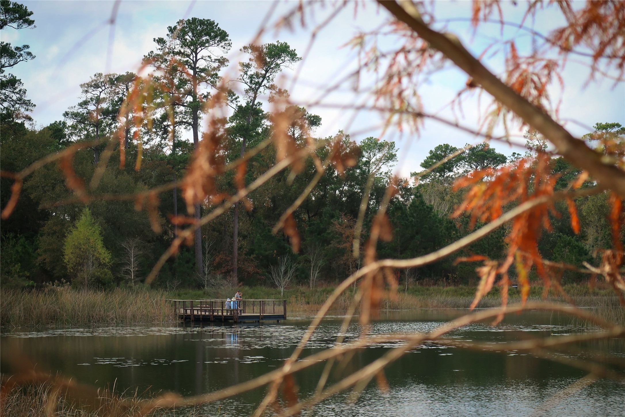 5737 Kansas Street Houston, TX 77007 - Photo 45 of 47 a view of a lake from a lake view