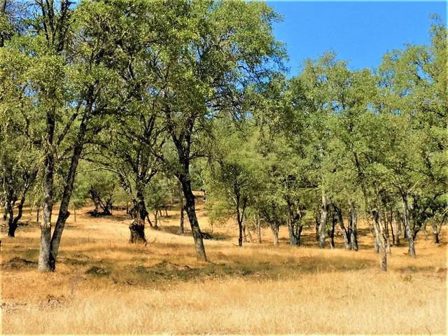a view of a yard covered with snow in outdoor space