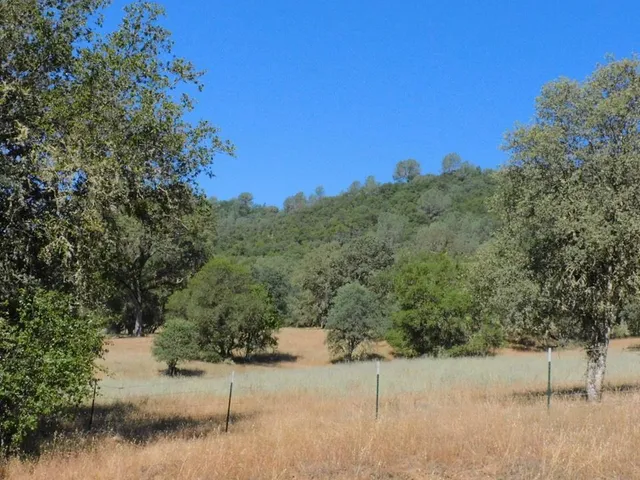 a view of a forest with mountains in the background