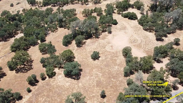 a view of a forest covered with snow