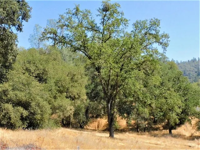 an aerial view of a house with a yard covered in snow