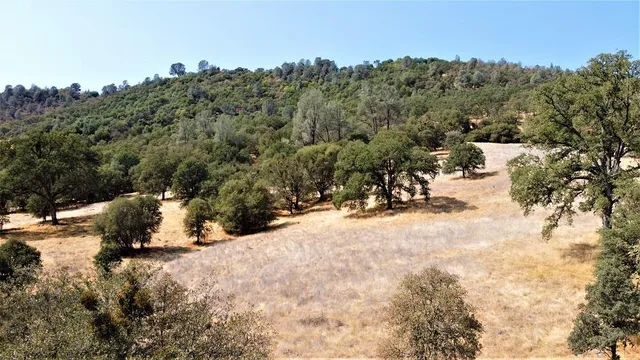 a view of a tree covered in snow