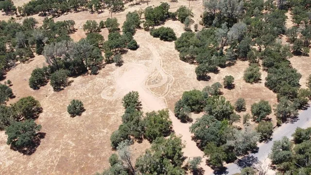 a view of a yard with a tree