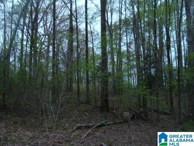 406 Caffe Ridge, Unit PARCEL Woodstock, AL 35188 - Photo 17 of 30