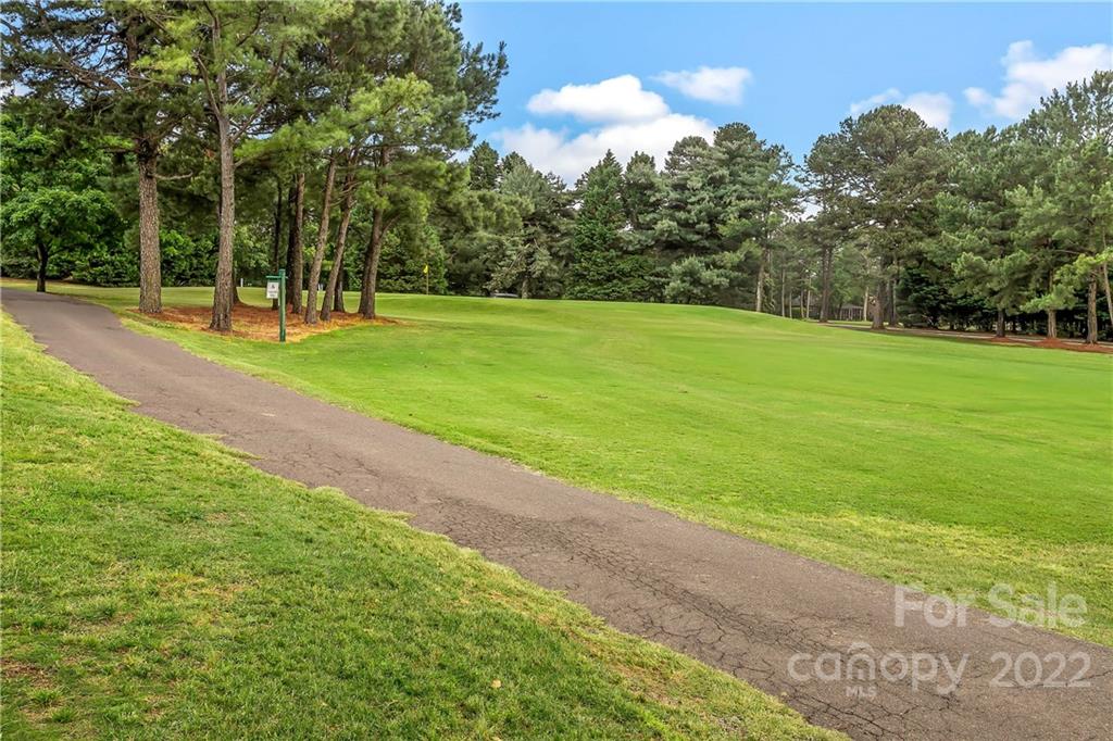 3088 Point Clear Drive Tega Cay, SC 29708 - Photo 25 of 32 a view of a park with large trees