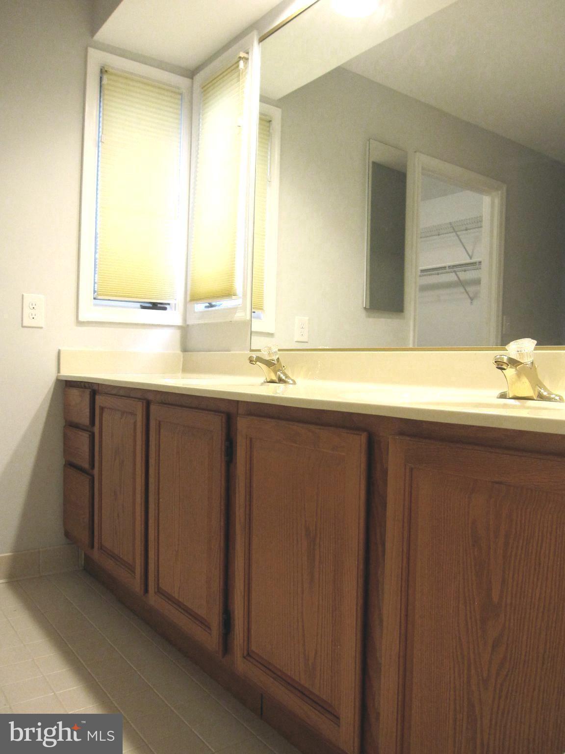 111 Spring Pl Way Annapolis, MD 21401 - Photo 26 of 64 Large double vanity