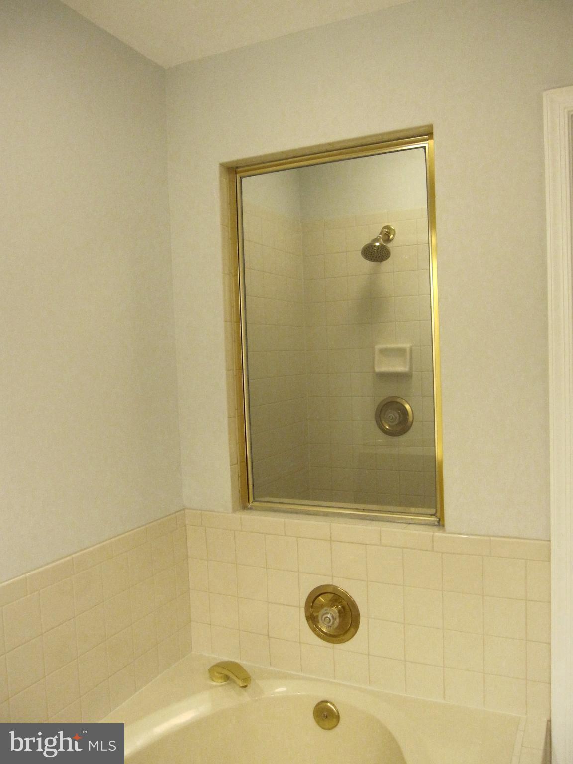 111 Spring Pl Way Annapolis, MD 21401 - Photo 29 of 64 Interior window to shower