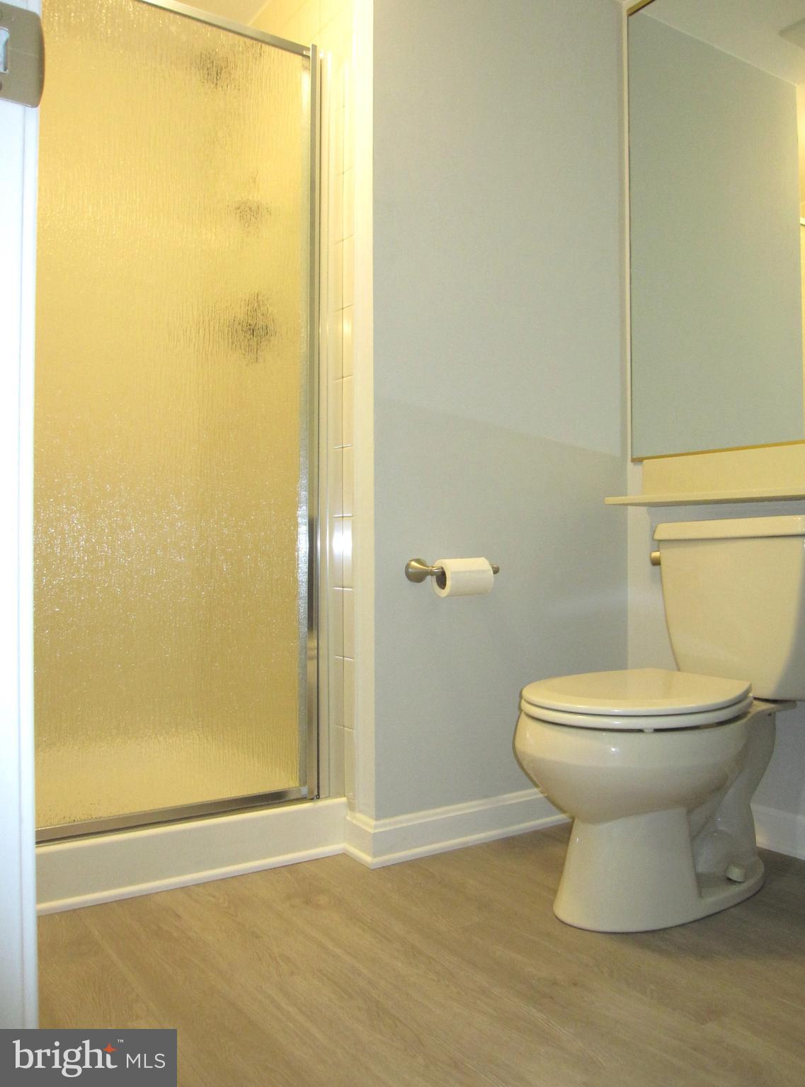 111 Spring Pl Way Annapolis, MD 21401 - Photo 54 of 64 Lower Level Full bath