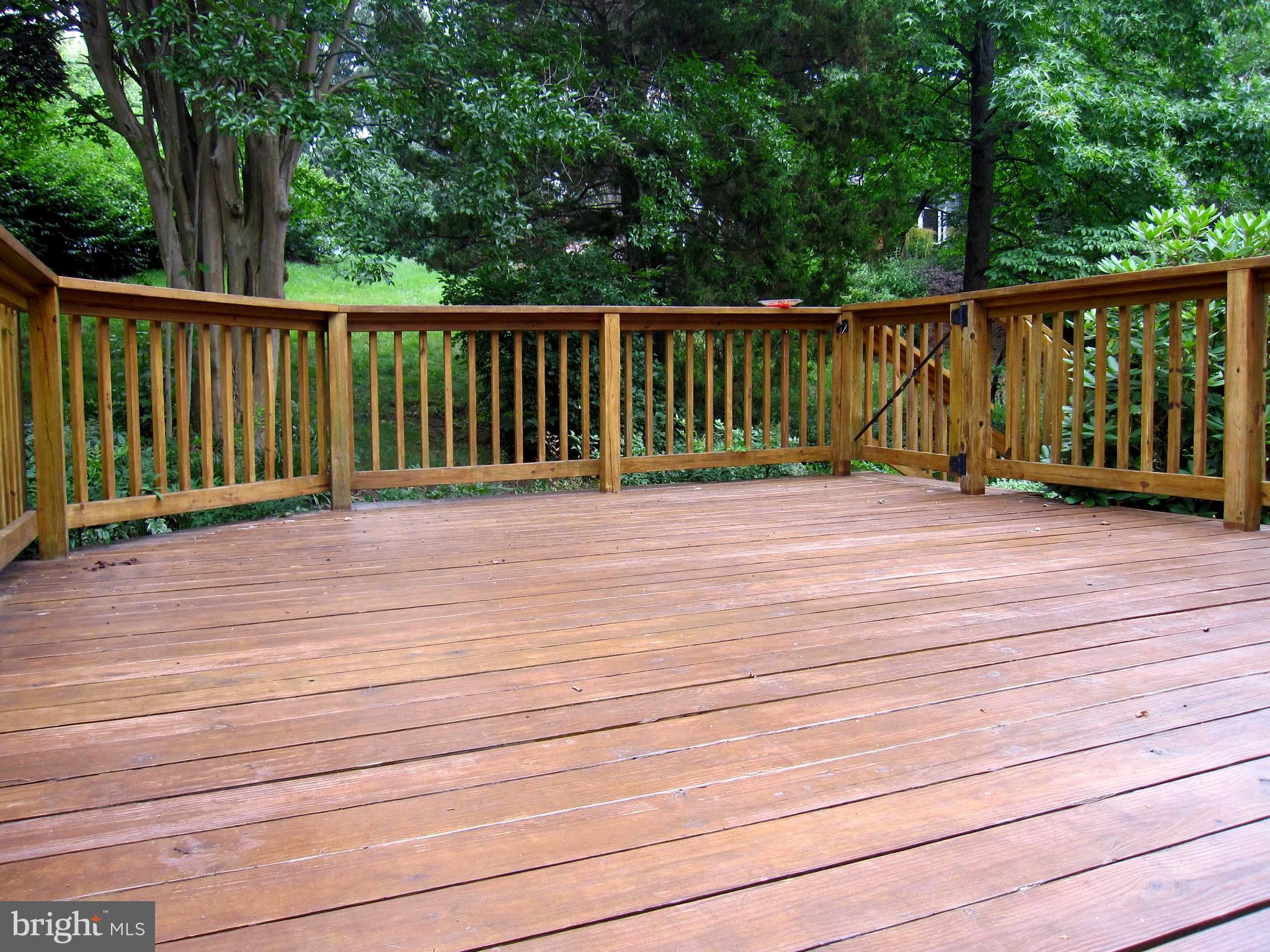111 Spring Pl Way Annapolis, MD 21401 - Photo 61 of 64 Relax on this Nice deck which back to trees!