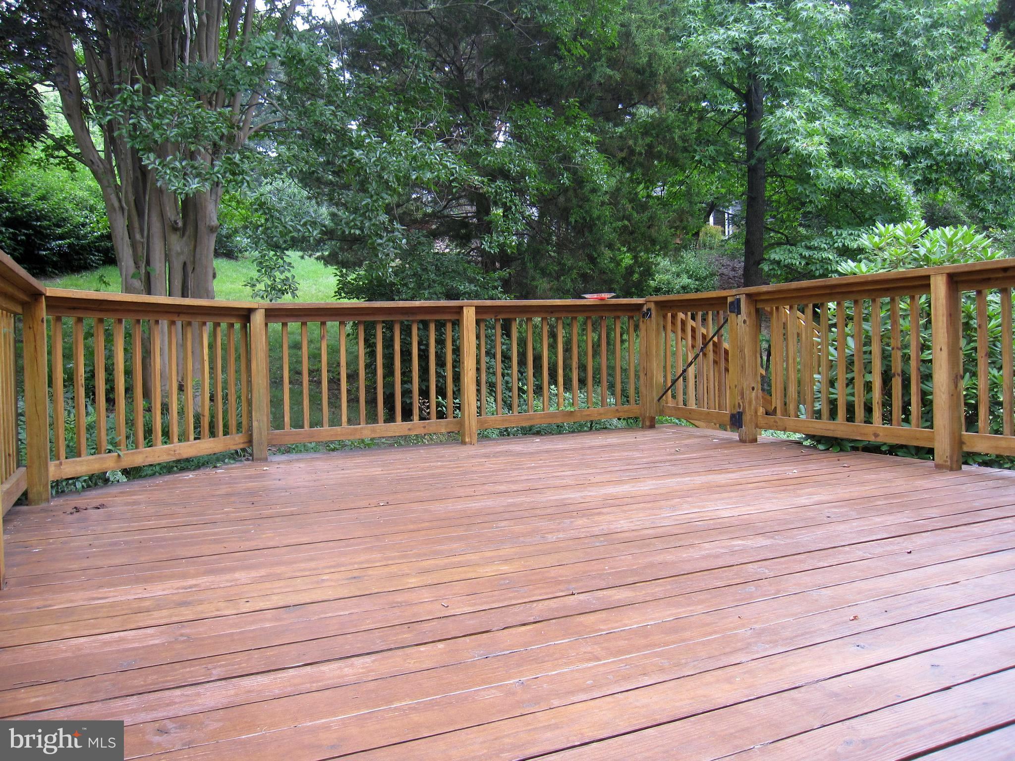 111 Spring Pl Way Annapolis, MD 21401 - Photo 62 of 64 Private deck off the living area & Kitchen