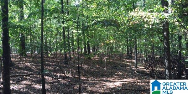 Jasmine Hill Road Pelham, AL 35124 - Photo 4 of 6