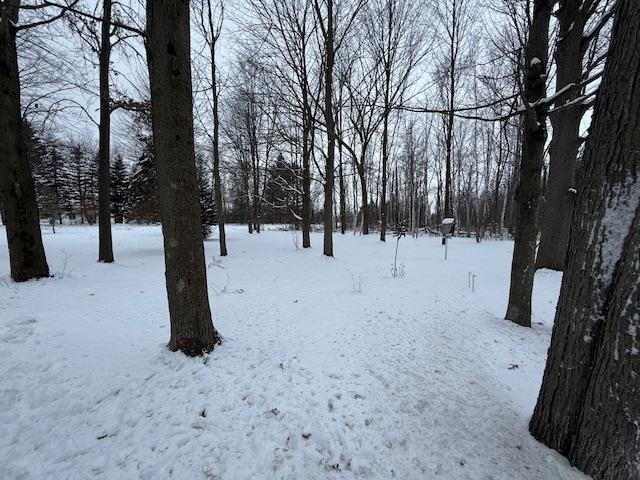 1703 East Coggins Road Pinconning, MI 48650 - Photo 4 of 36 Gallery Image 4