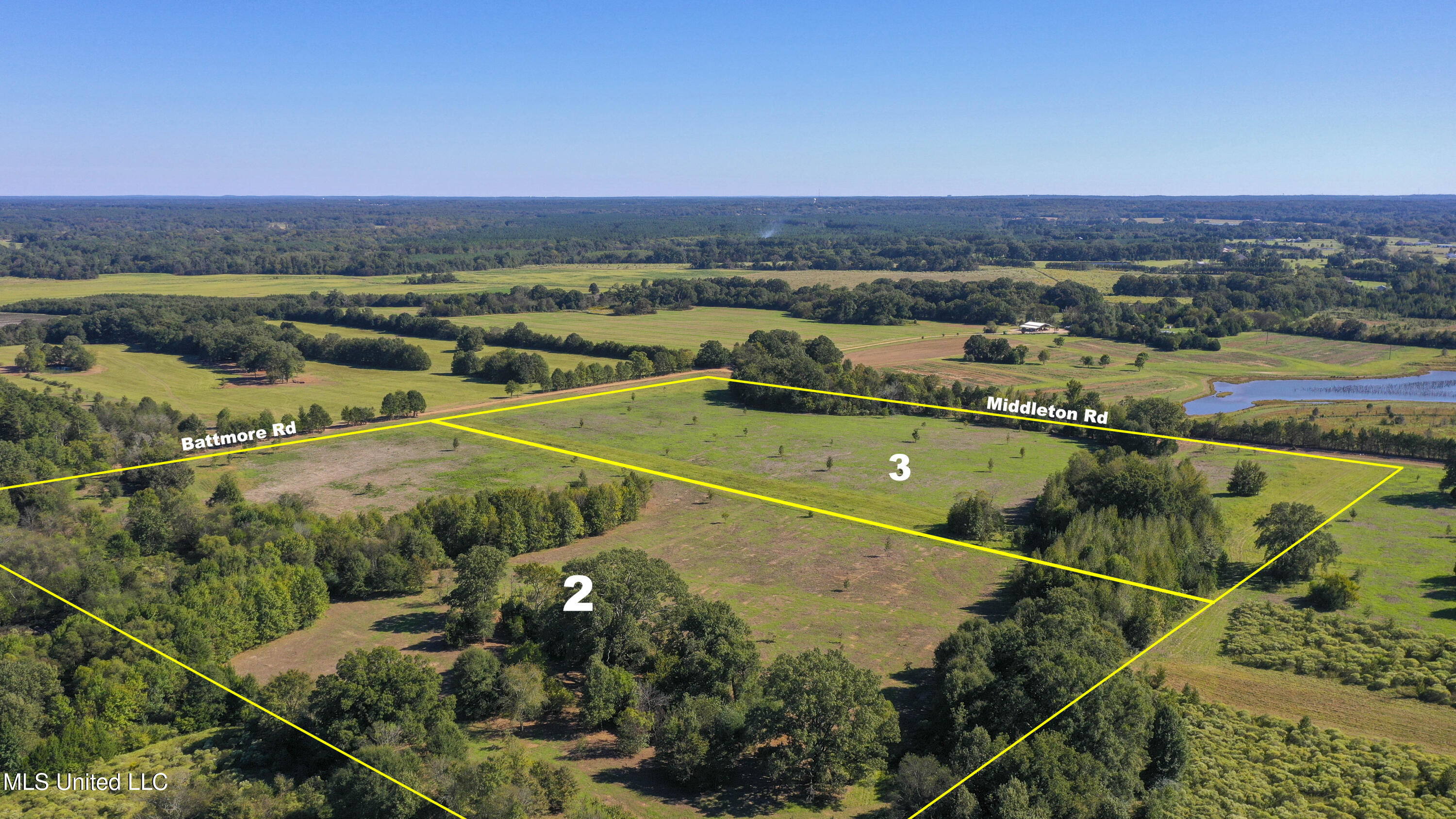 Flora Lots-Oct2025-1a