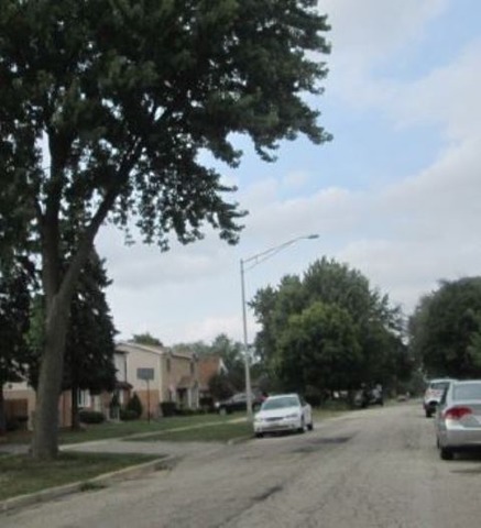 11023 Massasoit Avenue Chicago Ridge, IL 60415 - Photo 3 of 10