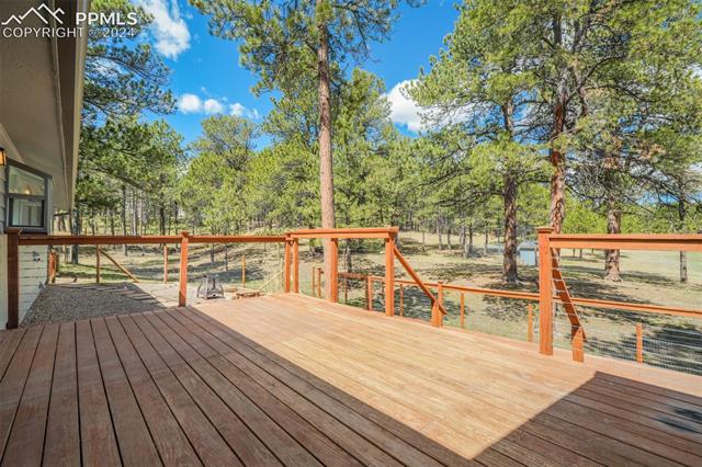 8950 Pine Cone Road Colorado Springs, CO 80908 - Photo 32 of 47 Gallery Image 32