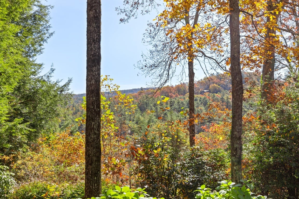 175 Wyanoak Road Highlands, NC 28741 - Photo 22 of 44 Gallery Image 22