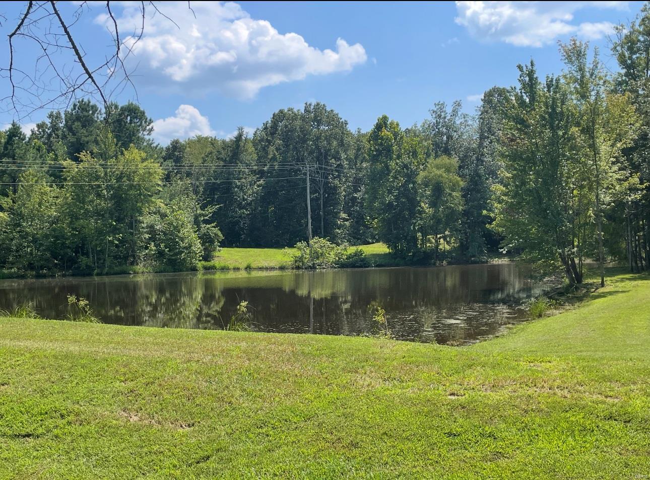 481 Wayne 519 Wappapello, MO 63966 - Photo 37 of 45