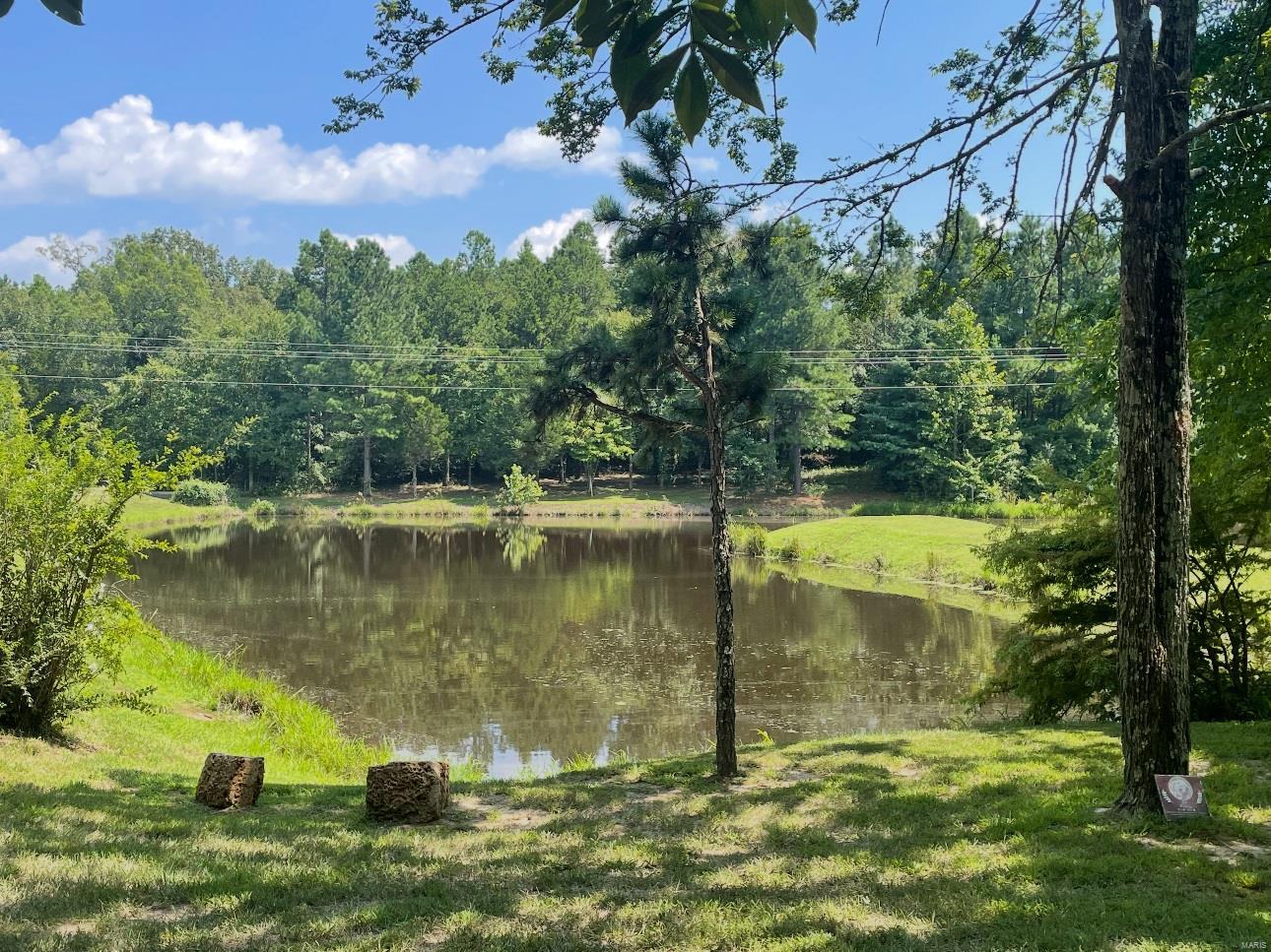 481 Wayne 519 Wappapello, MO 63966 - Photo 38 of 45