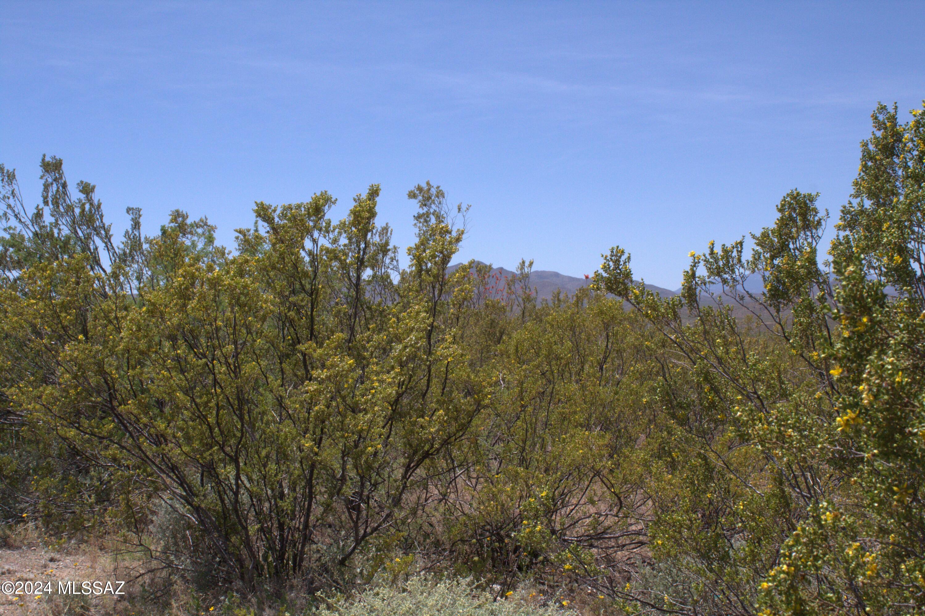 Tbd South Taurus Place Vail, AZ 85641 - Photo 14 of 30
