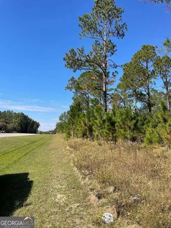 $600,000 | 0 Hwy 292, Vidalia, GA 30474