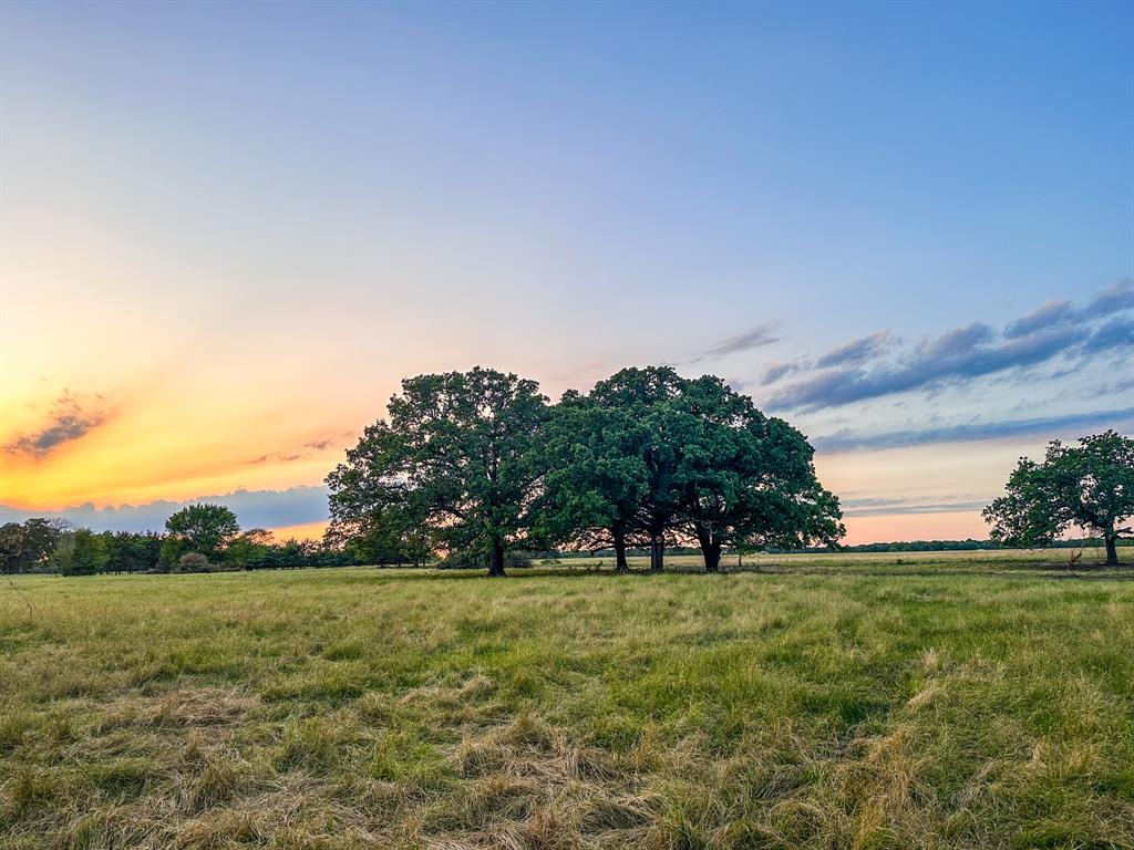 0 Cr-2245 Ivanhoe Tx  