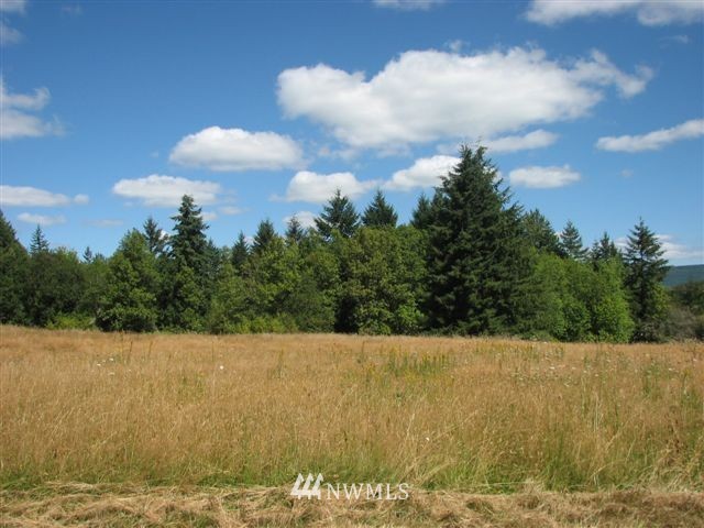 -xxx Xxx Roundtree Road Curtis, WA 98538 - Photo 1 of 5