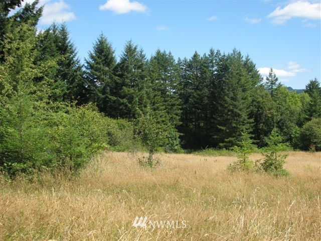 -xxx Xxx Roundtree Road Curtis, WA 98538 - Photo 5 of 5