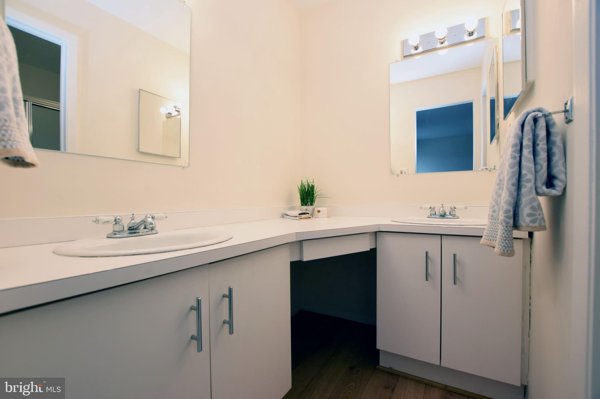 6907 Jones View Drive, Unit 1B Baltimore, MD 21209 - Photo 18 of 25 Primary Bath has Double Vanity