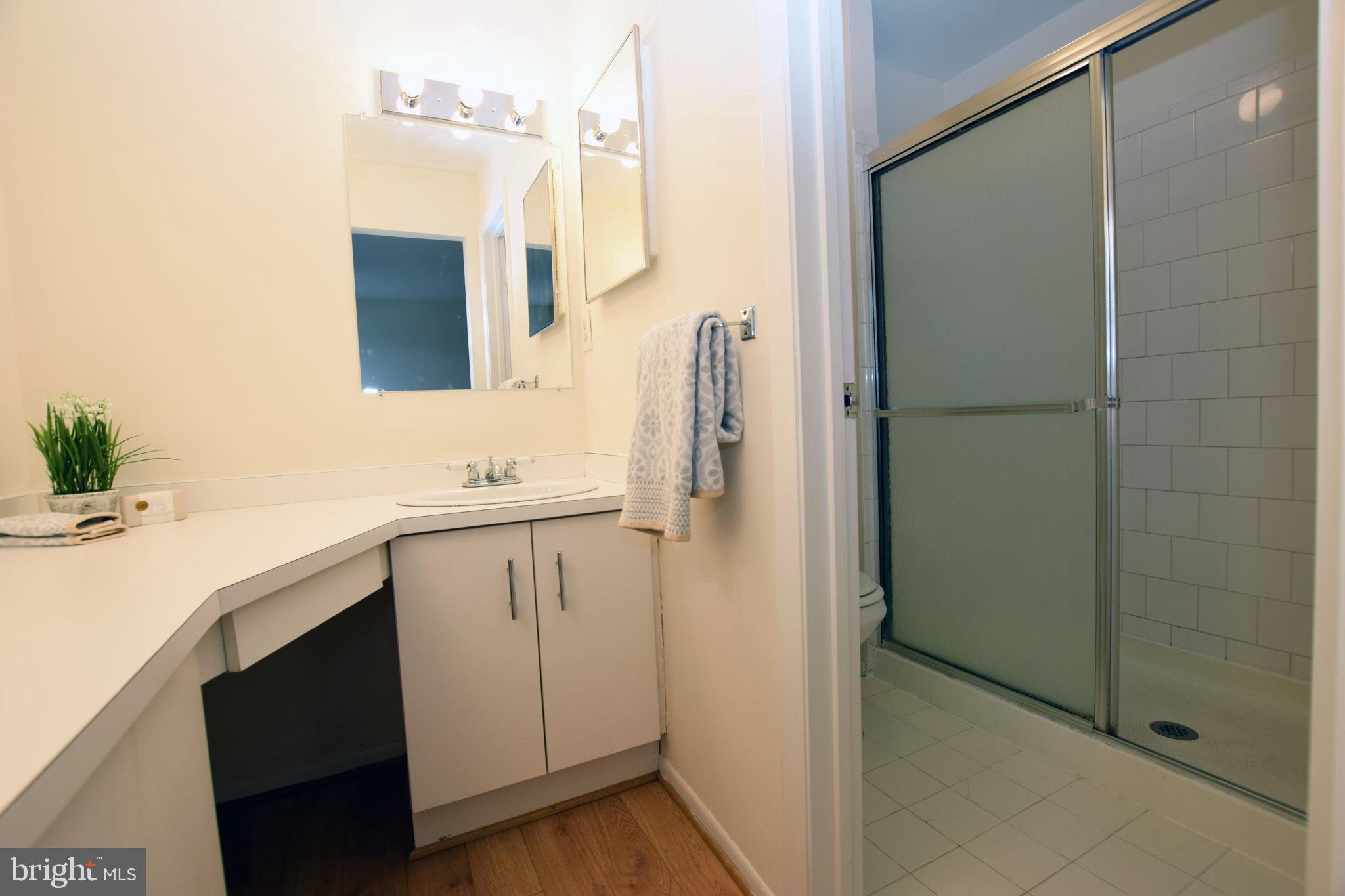 6907 Jones View Drive, Unit 1B Baltimore, MD 21209 - Photo 19 of 25 Primary Bath has Water Closet