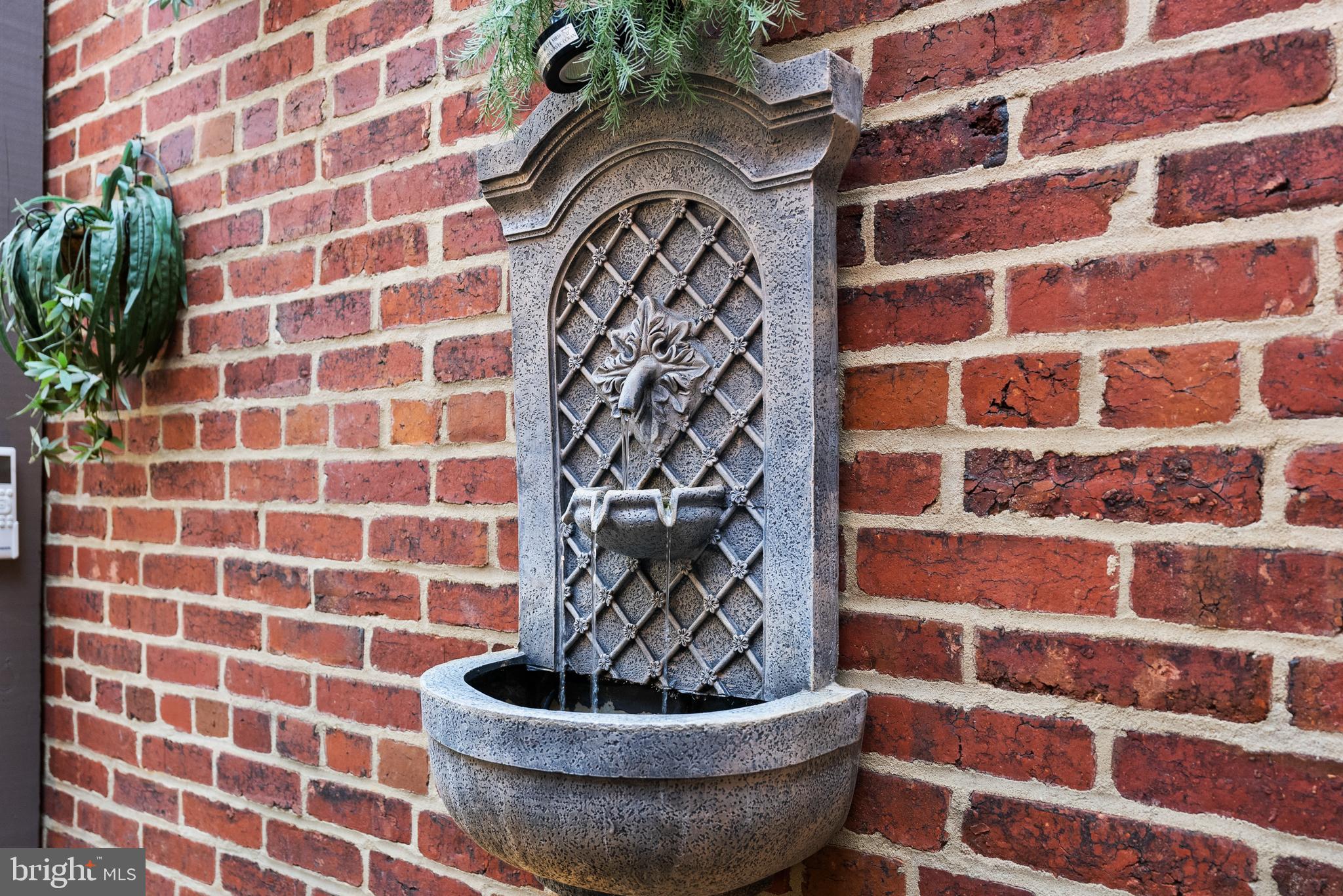 2131 S Street Northwest Washington, DC 20008 - Photo 21 of 29 a bathroom with a sink and a potted plant