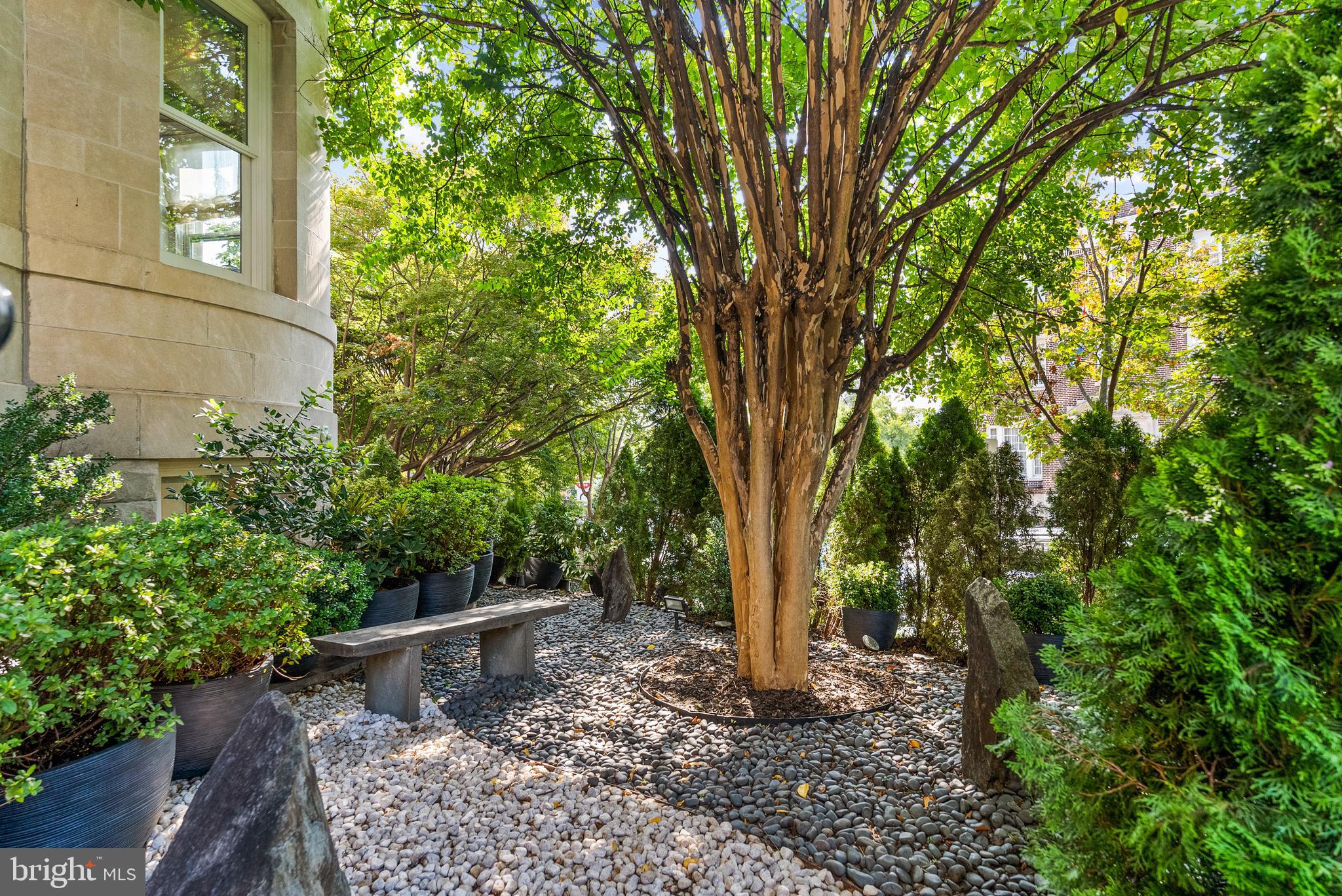 2131 S Street Northwest Washington, DC 20008 - Photo 3 of 29 a view of a yard with plants and trees