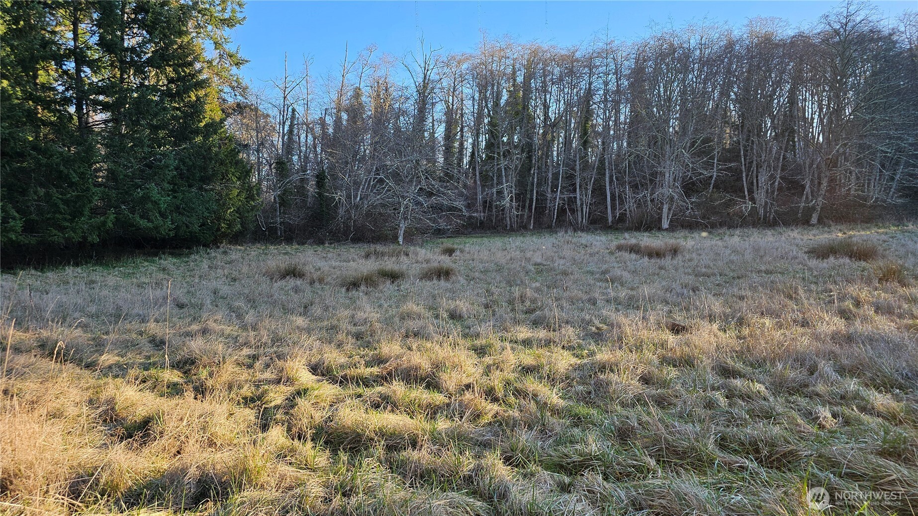 8735 Southwest Van Olinda Road Vashon, WA 98070 - Photo 10 of 11 Gallery Image 10