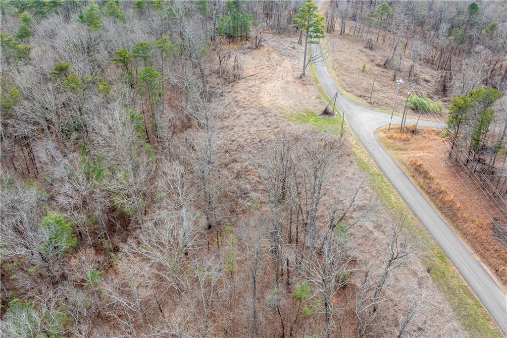 1 Cowart Mountain Road Jasper, GA 30143 - Photo 12 of 16