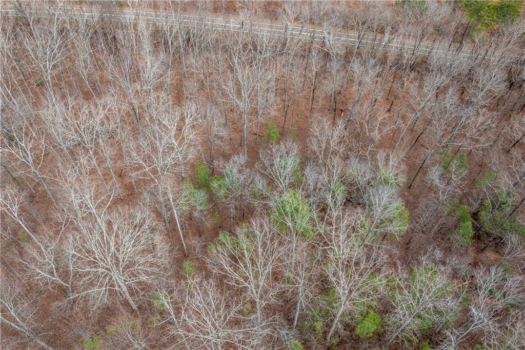 1 Cowart Mountain Road Jasper, GA 30143 - Photo 14 of 16