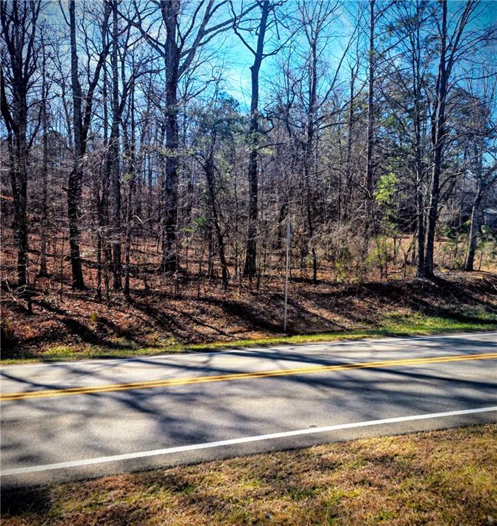 1 Cowart Mountain Road Jasper, GA 30143 - Photo 4 of 16