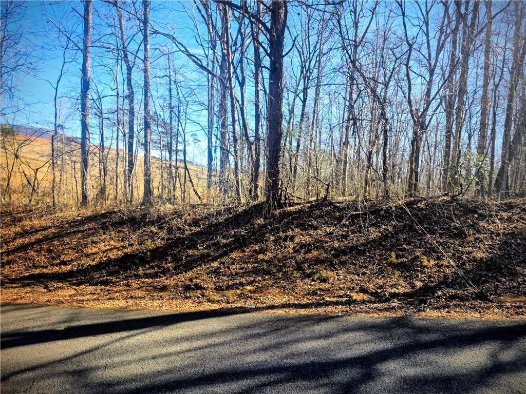 1 Cowart Mountain Road Jasper, GA 30143 - Photo 5 of 16