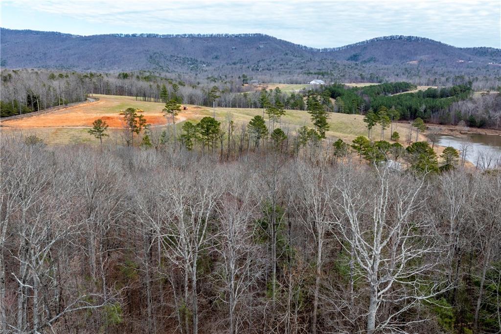 1 Cowart Mountain Road Jasper, GA 30143 - Photo 6 of 16