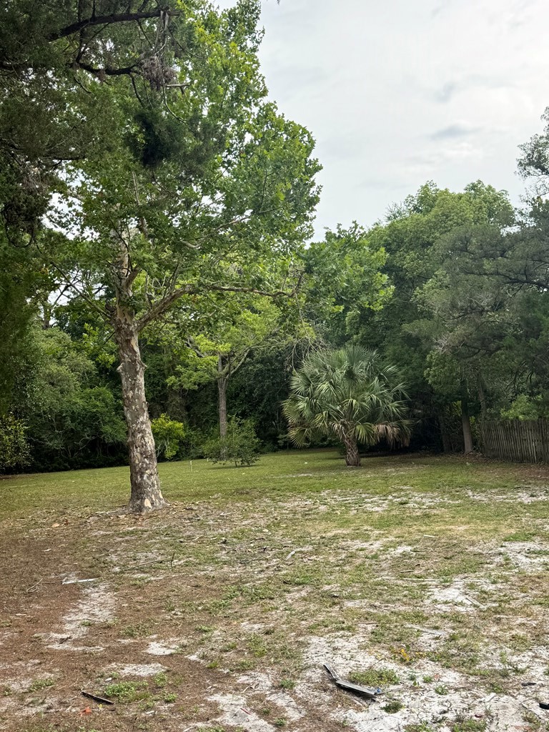 333 Old Ferry Dock Road Eastpoint, FL 32328 - Photo 5 of 5
