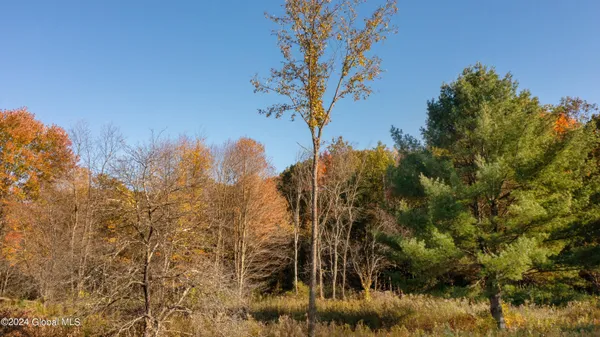 $190,000 | L122 Dimmick Road, Wilton, NY 12831