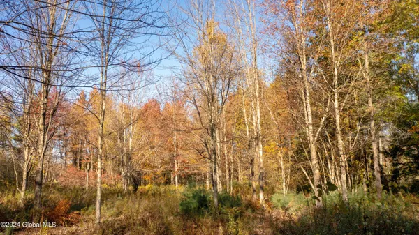 $190,000 | L122 Dimmick Road, Wilton, NY 12831