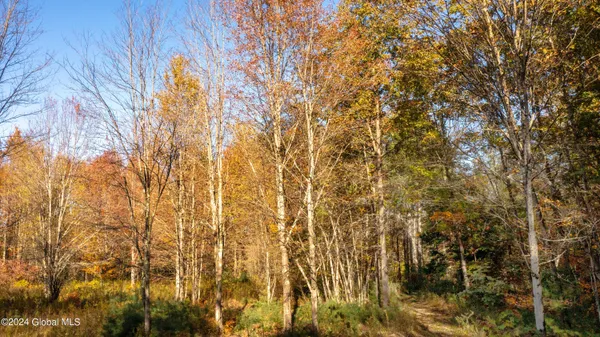 $190,000 | L122 Dimmick Road, Wilton, NY 12831