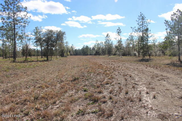 5015 Northwest County Road 274 Altha, FL 32421 - Photo 5 of 15