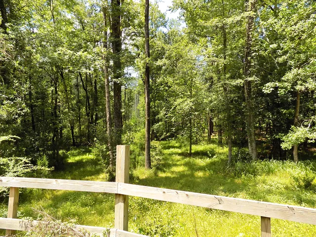 $532,500 | 6370 Shilelagh Oaks Parkway, Ravenel, SC 29470