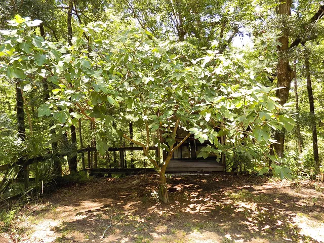 $532,500 | 6370 Shilelagh Oaks Parkway, Ravenel, SC 29470