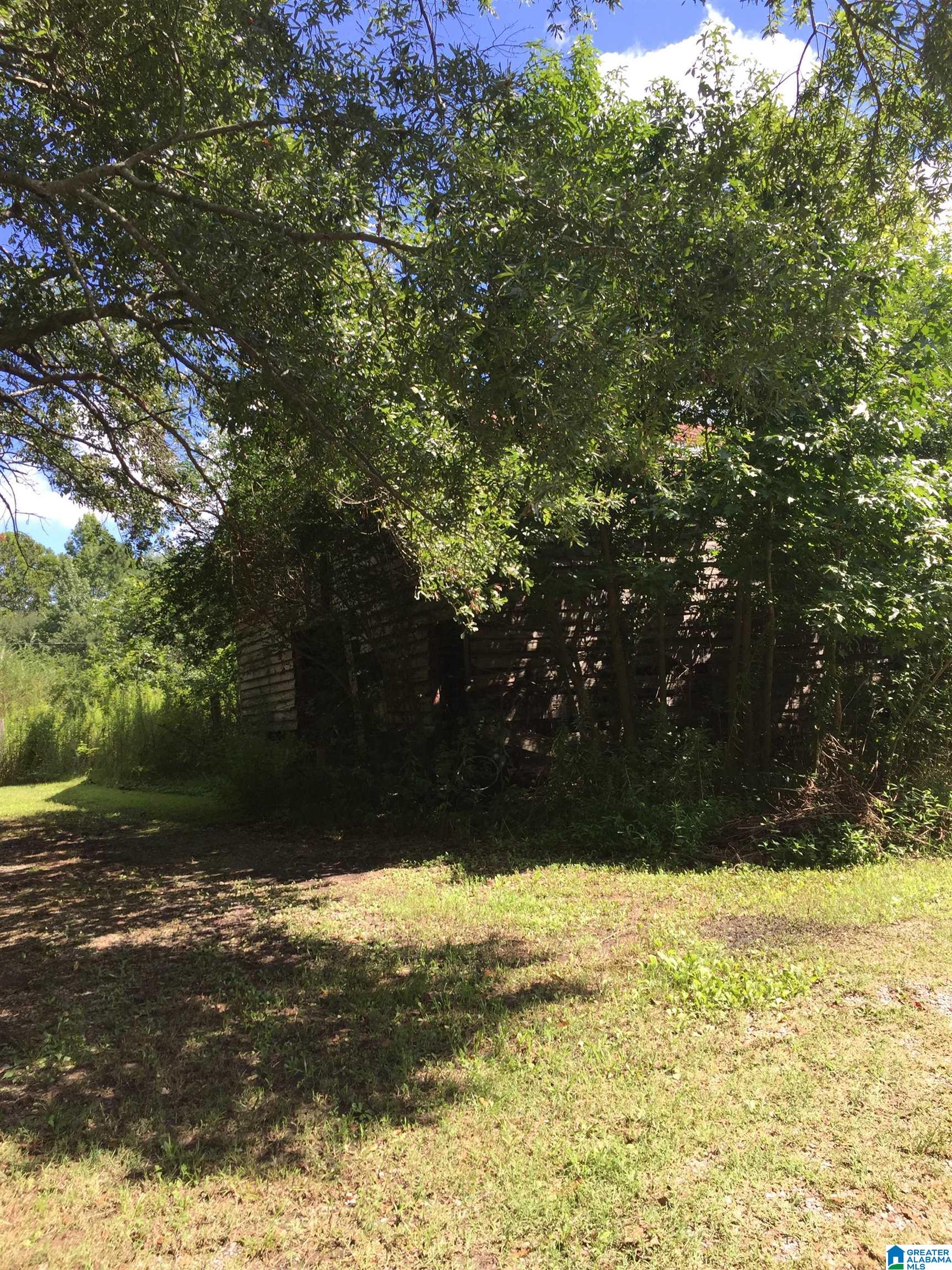 3939 Susan Moore Road Altoona, AL 35952 - Photo 3 of 12