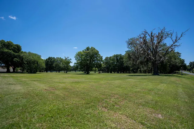 a view of field with trees in the background